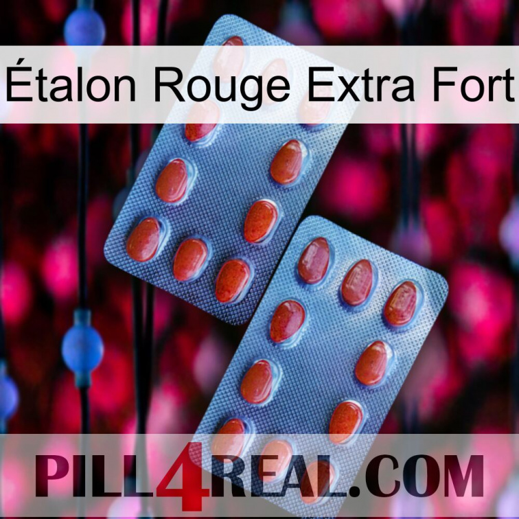 Étalon Rouge Extra Fort 05